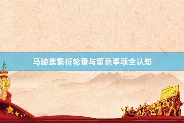马蹄莲繁衍轮番与留意事项全认知