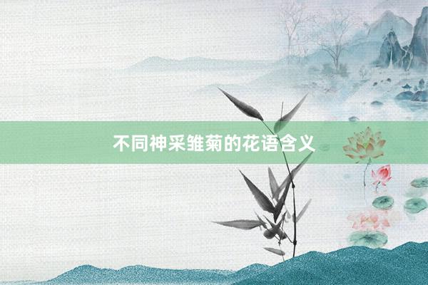 不同神采雏菊的花语含义