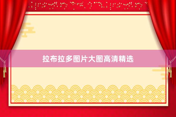 拉布拉多图片大图高清精选