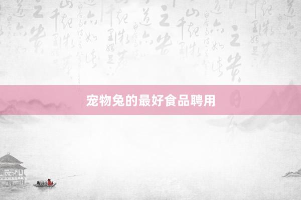 宠物兔的最好食品聘用